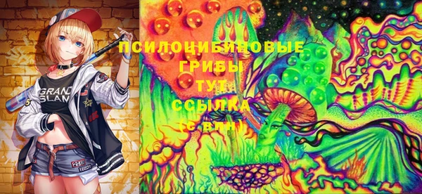 таблы Верхний Тагил