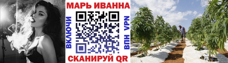 как найти наркотики  Оса  Конопля гибрид 
